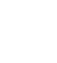 Network Immobiliare